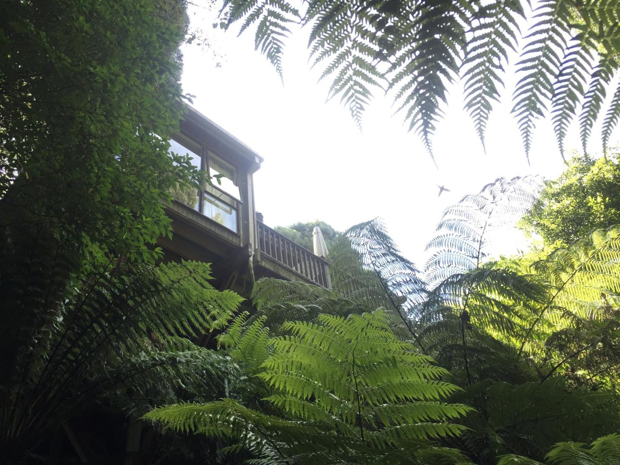 Sassafras Treehouse Private Home In The Dandenong Ranges, Victoria Экстерьер фото