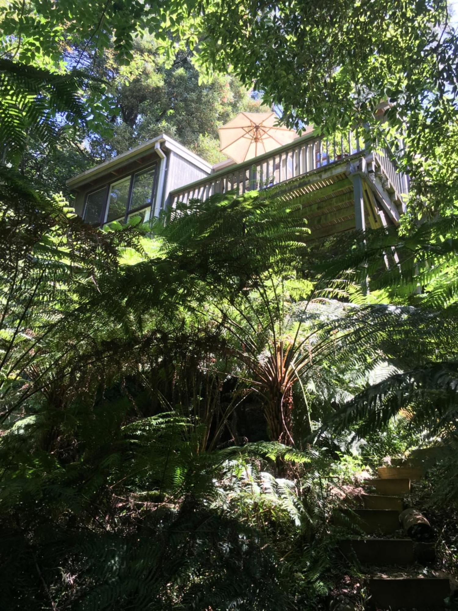 Sassafras Treehouse Private Home In The Dandenong Ranges, Victoria Экстерьер фото
