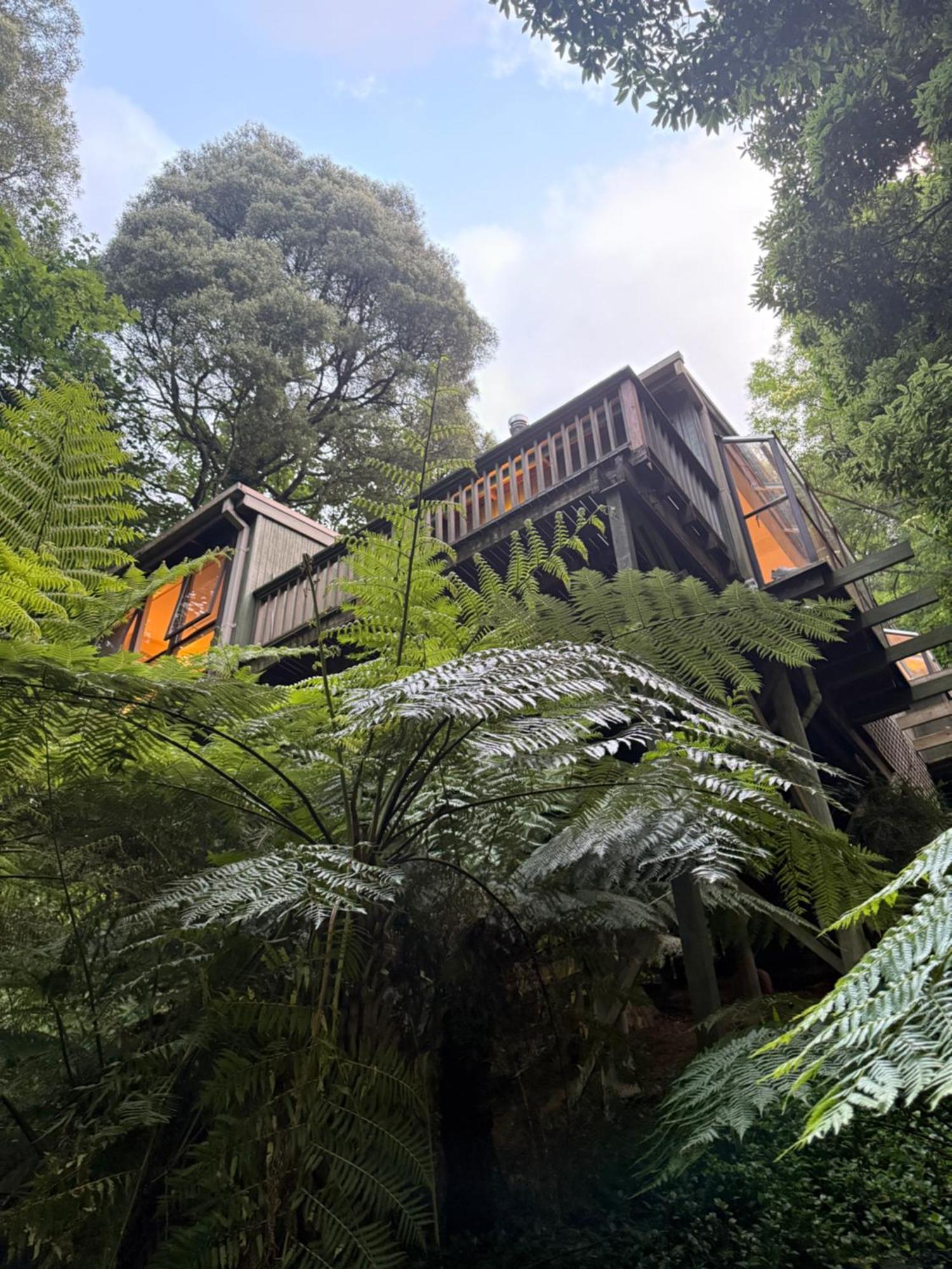 Sassafras Treehouse Private Home In The Dandenong Ranges, Victoria Экстерьер фото