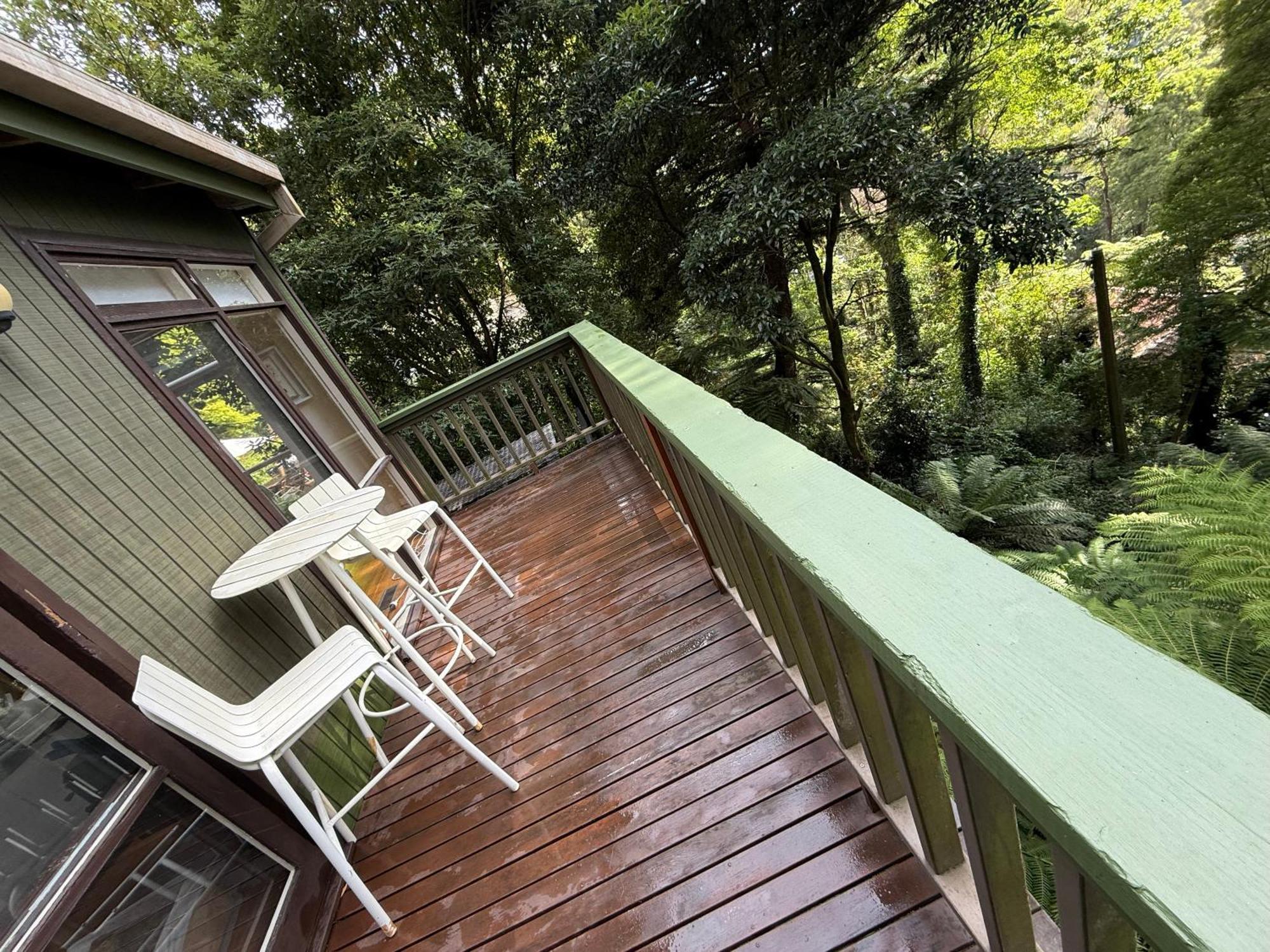 Sassafras Treehouse Private Home In The Dandenong Ranges, Victoria Экстерьер фото