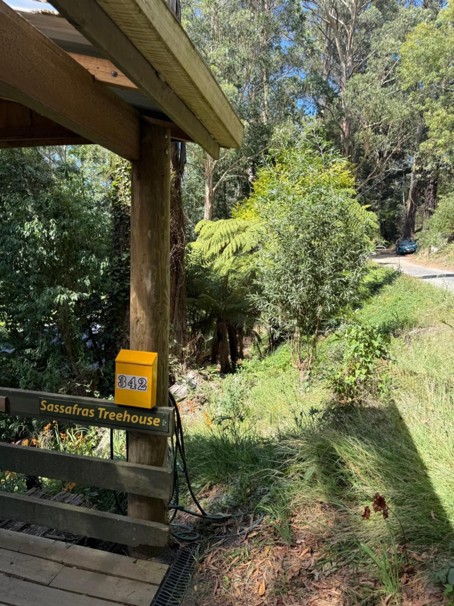 Sassafras Treehouse Private Home In The Dandenong Ranges, Victoria Экстерьер фото